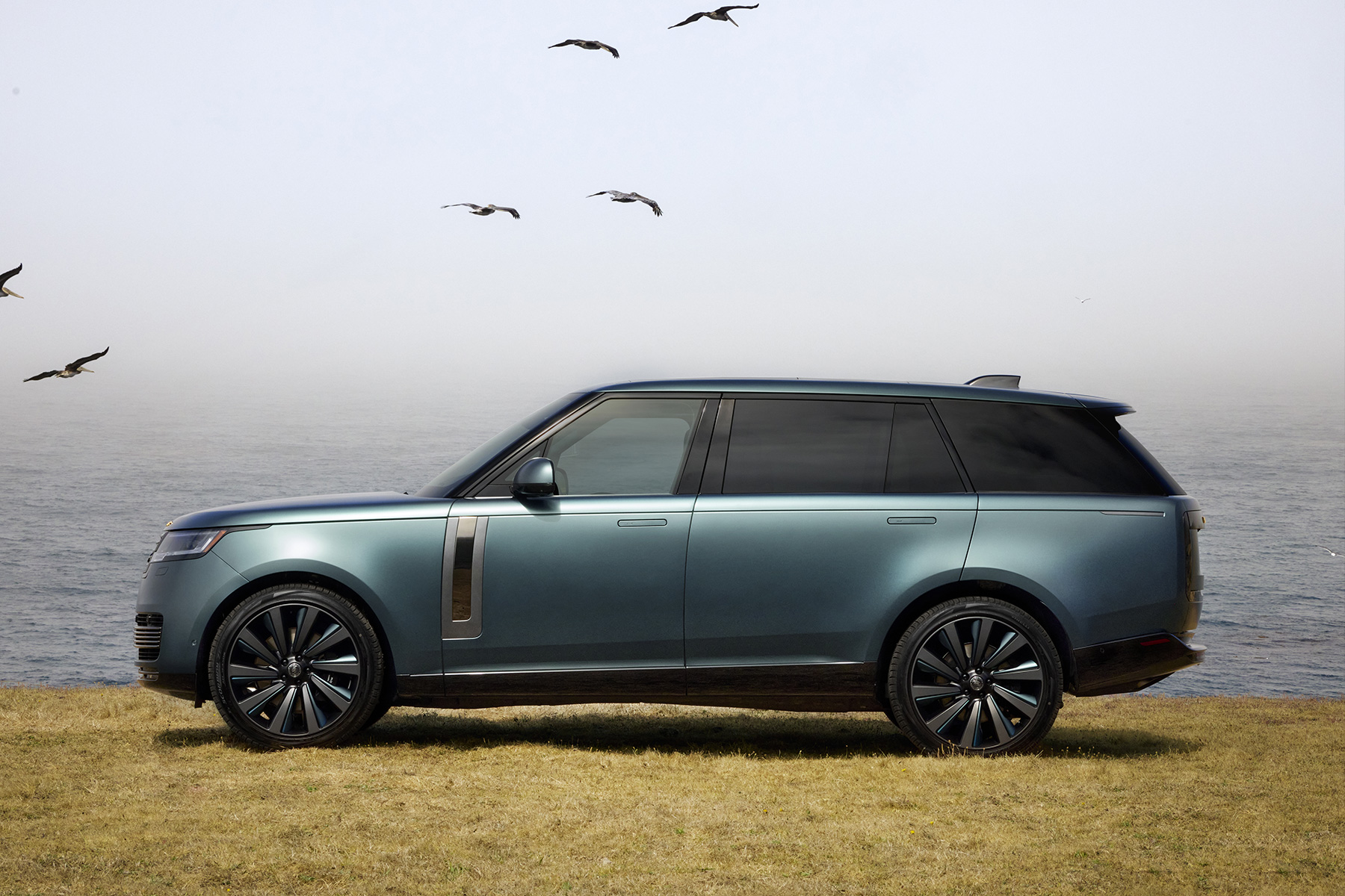 Range Rover Optima Range Rover - Pivotal